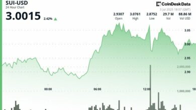 "عملة Sui تعاود الارتفاع إلى 3 دولارات بعد أسبوع من الصعود بفضل خطط خزانة Lion Group – اكتشف التفاصيل الآن!"