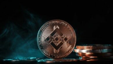 شركة أدوية تشتري ما يصل إلى 700 مليون دولار من BNB بعد وصول العملة إلى أعلى مستوى لها على الإطلاق