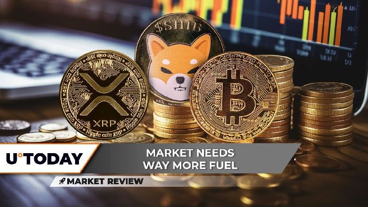 1. **XRP: مفاجأة تقاطع الموت الصغير – اكتشف التفاصيل الآن!** 2. **شيبا إينو (SHIB): هذا ليس طبيعيًا – تعرف على السبب اليوم!** 3. **بيتكوين (BTC): اختراق أساسي مؤكد – استعد للارتفاع القادم!**