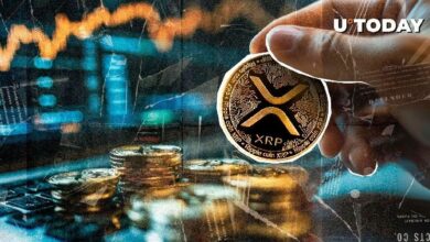 "محلل: سايلور ما كان ليتعامل مع XRP – اكتشف السبب الآن!"
