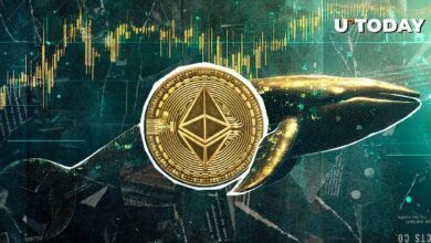 374 مليون دولار من الإيثيريوم تتحرك في ساعات قليلة.. ماذا يخطط الحيتان؟ اكتشف الآن!