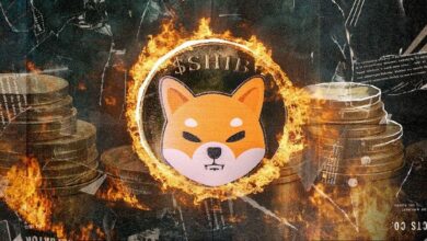 احتراق عملة SHIB يرتفع بنسبة 1,488% مع اختفاء 100,530,829 SHIB في خطوتين فقط! اكتشف التفاصيل الآن