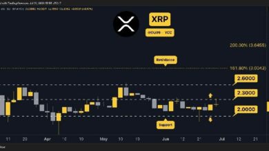 3 أشياء يجب مراقبتها في سعر الريبل (XRP) اليوم – تعرف عليها الآن!