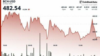 "صعود بيتكوين كاش يتسارع مع نشاط الحيتان وإشارات فنية صاعدة – اكتشف التفاصيل الآن!"