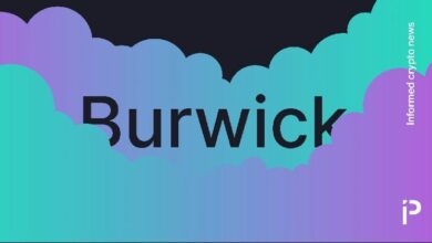 "بورويك يتهم سولانا وجيتو بالتآمر في عمليات احتيال بقيمة 1.5 مليار دولار على Pump Fun – اكتشف التفاصيل المثيرة!"