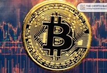 "ديفيد ماركوس: البيتكوين فقط هو ما يحتاجه العالم – اكتشف السبب الآن!"