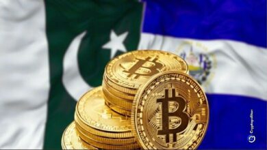 باكستان تتعاون مع السلفادور في مجال العملات الرقمية: تعرف على التفاصيل