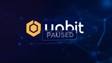 "تنبيه Upbit لـ EGLD: تعليق حاسم لترقية MultiversX – اكتشف التفاصيل الآن!"