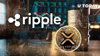 "أبرز المتداولين يطرح سؤالاً محورياً حول طرح ريبل للاكتتاب العام (IPO) – اكتشف الإجابة الآن!"