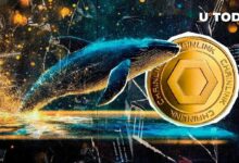 ارتفاع صاروخي لـ Chainlink بنسبة 32% في معاملات الحيتان.. هل يحقق LINK قفزة سعرية قوية؟ شاهده الآن!