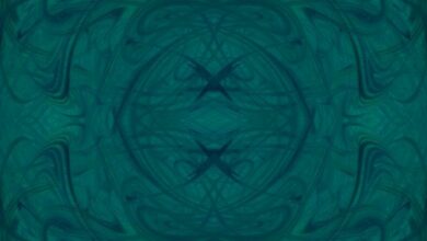 "هومو في أوزبكستان تطلق عملة مدعومة بسندات حكومية – اكتشف التفاصيل الآن!"