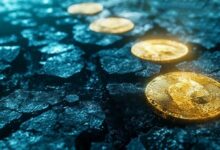 "منصات الإطلاق التابعة للتبادلات تحقق مكاسب 10 أضعاف لكن تواجه تدقيقًا بسبب التقييمات المرتفعة والنماذج غير الشفافة – اكتشف التفاصيل الآن!"