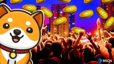 أهم تحديثات BabyDoge لعام 2025: أكبر الأخبار والإعلانات التي يجب أن تعرفها!