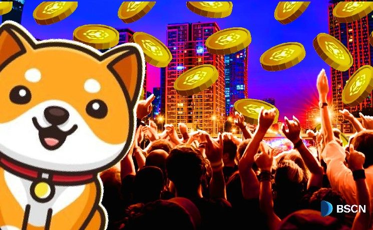 أهم تحديثات BabyDoge لعام 2025: أكبر الأخبار والإعلانات التي يجب أن تعرفها!