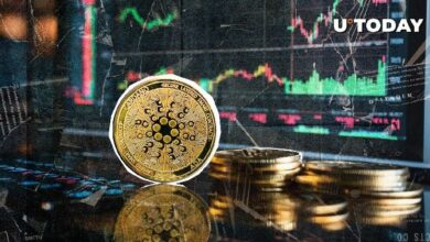 "تحديث كبير ينتظر مشروع Starstream على كاردانو: تعرف على أبرز التطورات القادمة!"