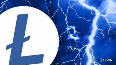 "لايتكوين في 2025: عام من الإنجازات للفضة الرقمية – اكتشف التوقعات الآن!"