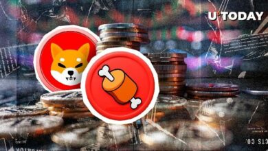 "بورصة كبرى تُسقط BONE من قائمتها.. كيف تفاعل مجتمع SHIB؟"