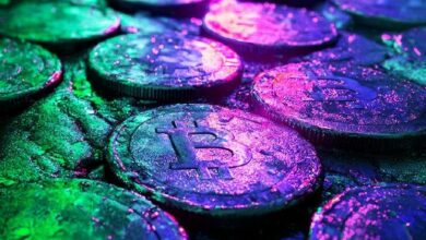 "مؤسـس SkyBridge Capital أنتوني سكاراموتشي يتوقع زوال اتجاه خزائن البتكوين: تقرير يكشف التفاصيل"