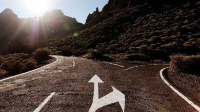 "أسواق العملات الرقمية تنقسم: المؤسسات تركز على البيتكوين والإيثيريوم بينما يتجه المستثمرون الأفراد نحو البدائل (ألتكوين) - Wintermute"