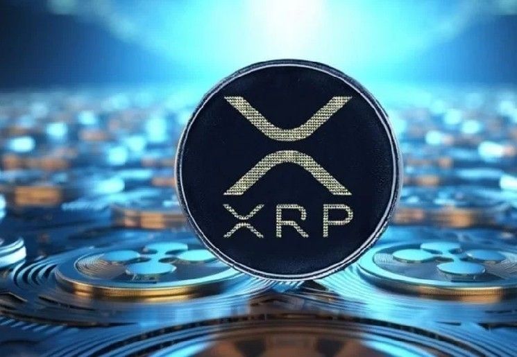 نشاط غير مسبوق يظهر على شبكة ريبل (XRP) في الأشهر الأخيرة – إليك البيانات المثيرة للاهتمام