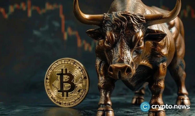 لماذا يرتفع سعر البيتكوين اليوم؟ الوقود الخفي وراء اختراق الـ 109 ألف دولار لـ BTC