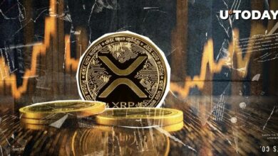 "تحليلات مثيرة: خبير توقع الارتفاع السابق يتوقع قفزة جديدة لـ XRP بنسبة 1200% – اكتشف التفاصيل الآن!"