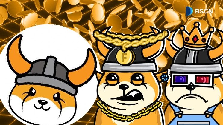 ما هي "فلوكيتارز" الخاصة بـ Floki؟ اكتشف أهم التفاصيل الآن!