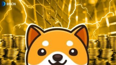 تحليل توكن $BABYDOGE لعام 2025: توقعات وتوقعات مثيرة للاهتمام
