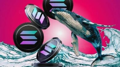 "تطوير DeFi يعلن عن خطط لجمع 100 مليون دولار لشراء المزيد من Solana: ما التالي لسعر SOL؟ اكتشف الآن!"