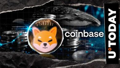 حوت Coinbase يجمع 139,150,244,953 SHIB بعد انهيار السعر بنسبة 70%