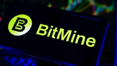 صندوق T Rex's 2x BitMine ETF يجمع 32 مليون دولار في يومه الأول ليحتل المركز الثالث في 2025