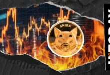 حرق 9,008,448 عملة SHIB في أيام: مؤشر شيبا إينو يقفز 10,021%