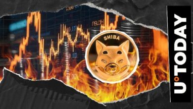 حرق 9,008,448 عملة SHIB في أيام: مؤشر شيبا إينو يقفز 10,021%