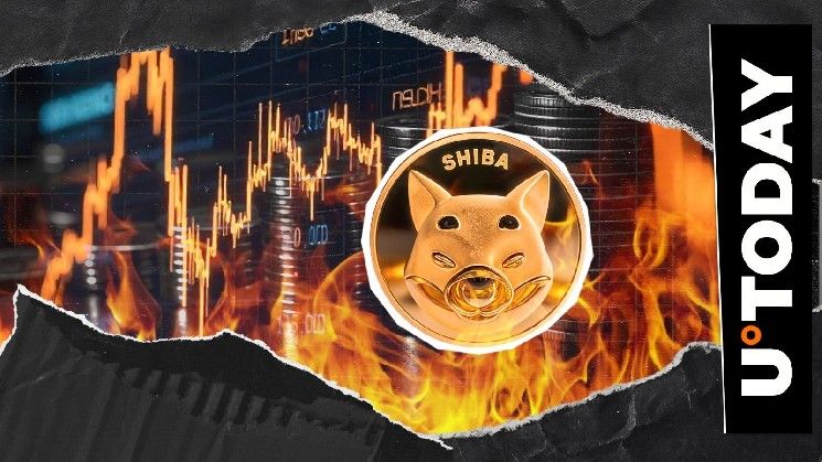 حرق 9,008,448 عملة SHIB في أيام: مؤشر شيبا إينو يقفز 10,021%