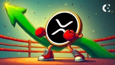 تحليل: XRP قد يشهد تراجعاً بنسبة 10% قبل أن يبدأ في التعافي