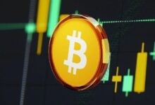 معظم حاملي البيتكوين ليسوا تحت ضغط البيع.. والمشترون الجدد في قلق