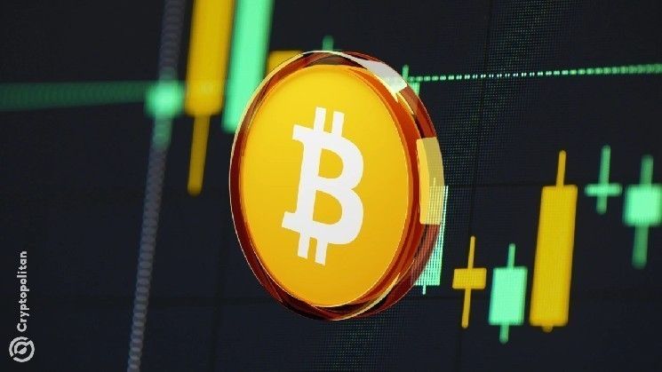 معظم حاملي البيتكوين ليسوا تحت ضغط البيع.. والمشترون الجدد في قلق