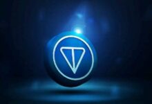 هذه الشركة تحصل على 71 مليون دولار وتستهدف إنشاء خزينة بقيمة 100 مليون دولار من عملة تونكوين