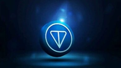 هذه الشركة تحصل على 71 مليون دولار وتستهدف إنشاء خزينة بقيمة 100 مليون دولار من عملة تونكوين