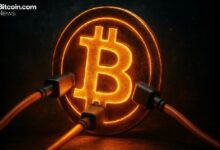 انفجار هاش ريت البيتكوين يُعزز أمان سلاسل التعدين المدمجة لمستويات تاريخية