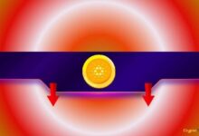 هل يستعد Cardano (ADA) لانخفاض قصير الأجل مع اقتراب تحقيق قمة جديدة في ديسمبر؟