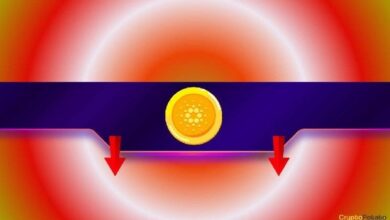 هل يستعد Cardano (ADA) لانخفاض قصير الأجل مع اقتراب تحقيق قمة جديدة في ديسمبر؟