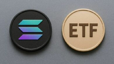 محلل في بلومبيرغ يتوقع موافقة بنسبة 100% على صناديق الاستثمار SOL المتداولة