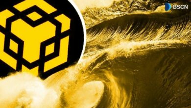 تحليل أسباب الارتفاع الكبير في سعر BNB لشهر سبتمبر 2025