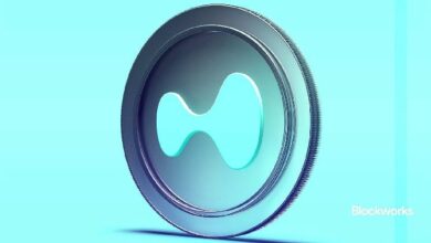 هل حان الوقت لتعديل الحد الأقصى لمعروض عملة HYPE؟