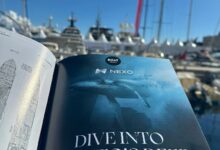 "نيكسو" تطلق محركًا لمكافحة الاحتيال لمواجهة التهديدات الإلكترونية المتزايدة