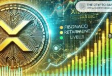 مُقتني XRP أمامهم 10 أيام فقط للمطالبة برمز NIGHT