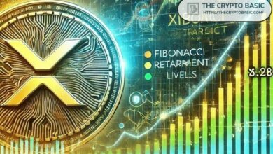 مُقتني XRP أمامهم 10 أيام فقط للمطالبة برمز NIGHT