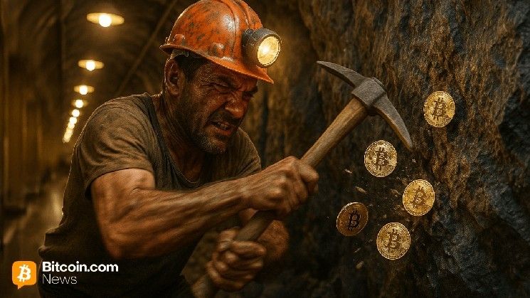 عمالاق التعدين يتحدون التوقعات: صعوبة الشبكة تبلغ 1.091 زيتا هاش رغم تراجع الإيرادات