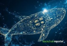 حوت يشترى 584 بيتكوين بقيمة 63.9 مليون دولار في صفقة استراتيجية أثناء انخفاض السوق